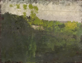 The Pond in Bois de Boulogne